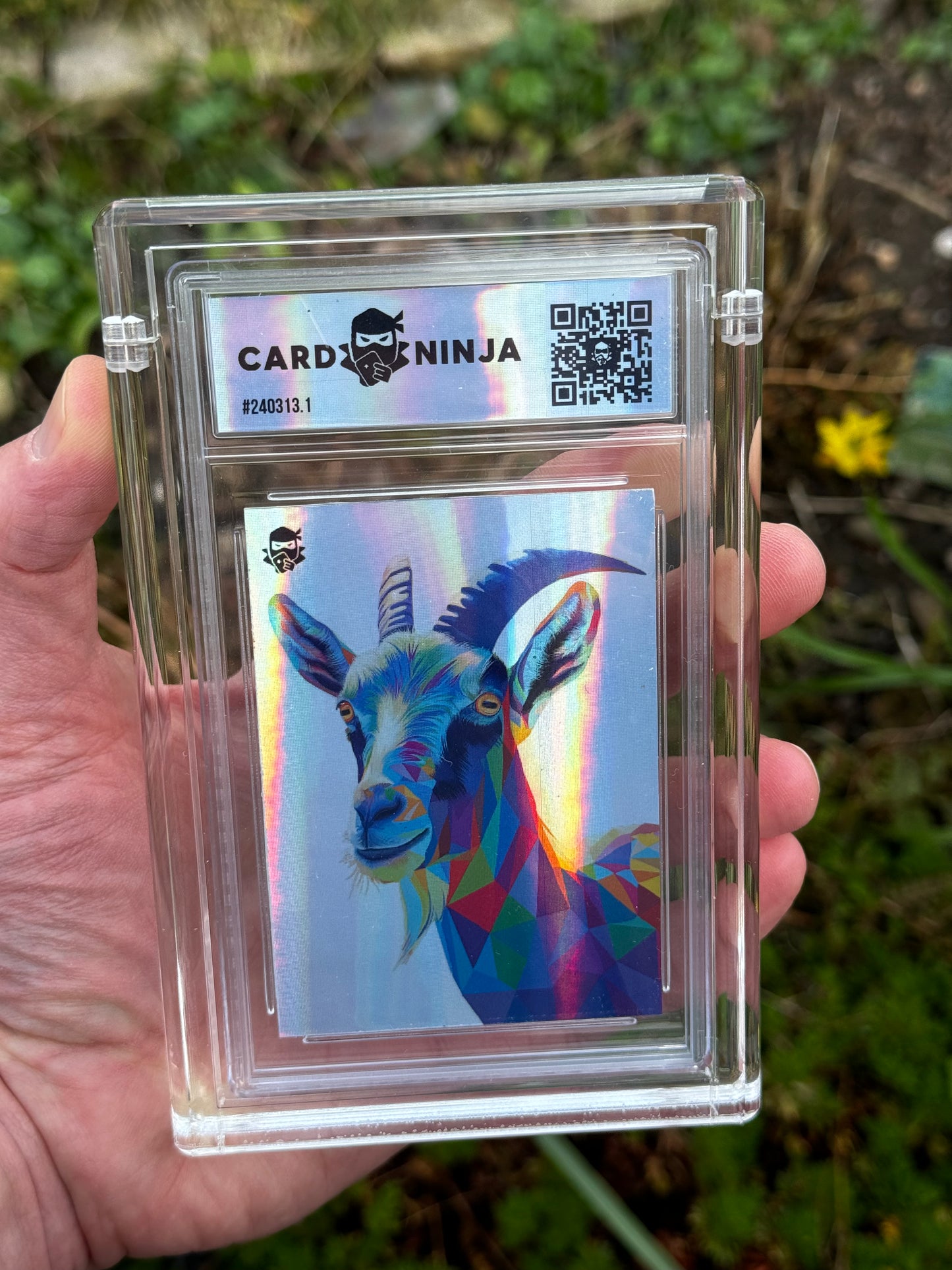 Lewis, the goat (Platinum 1/1)