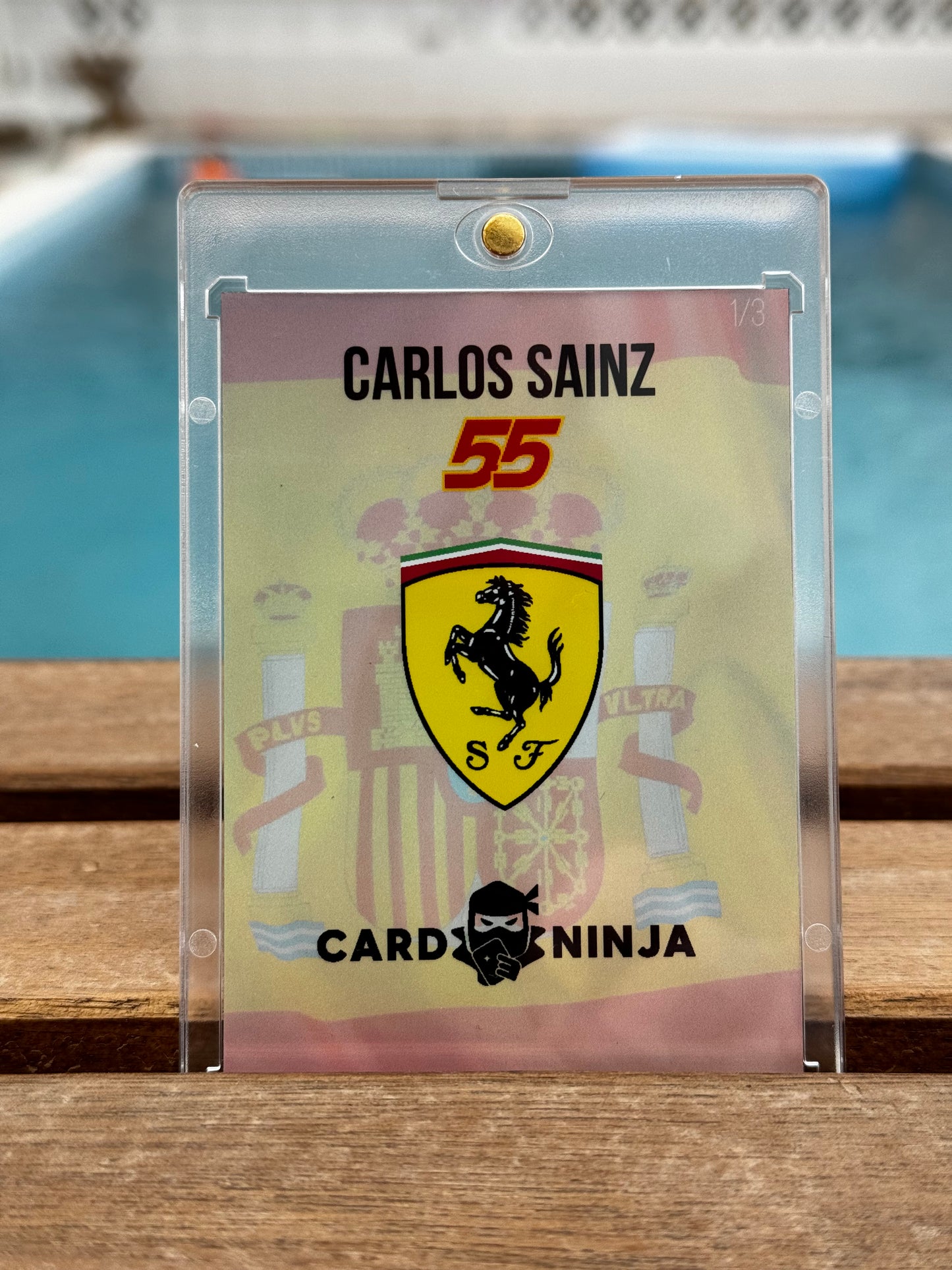 Carlos Sainz Portrait with flag /3