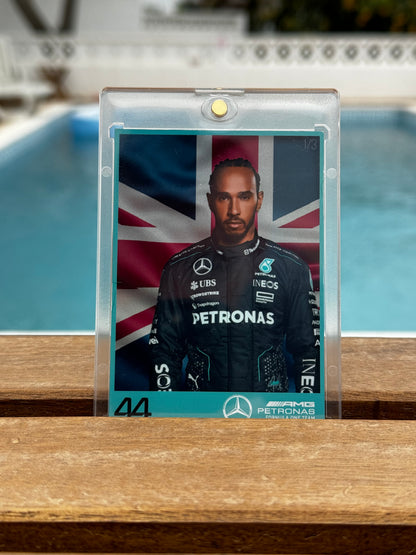 Lewis Hamilton Portrait with flag /3
