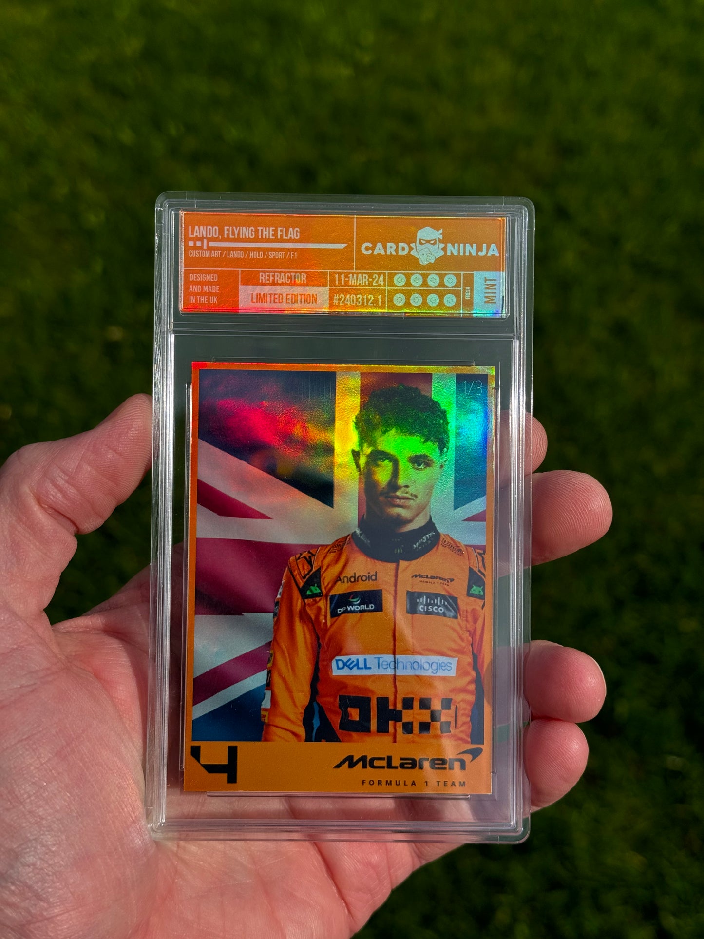 Lando Norris Portrait with flag /3