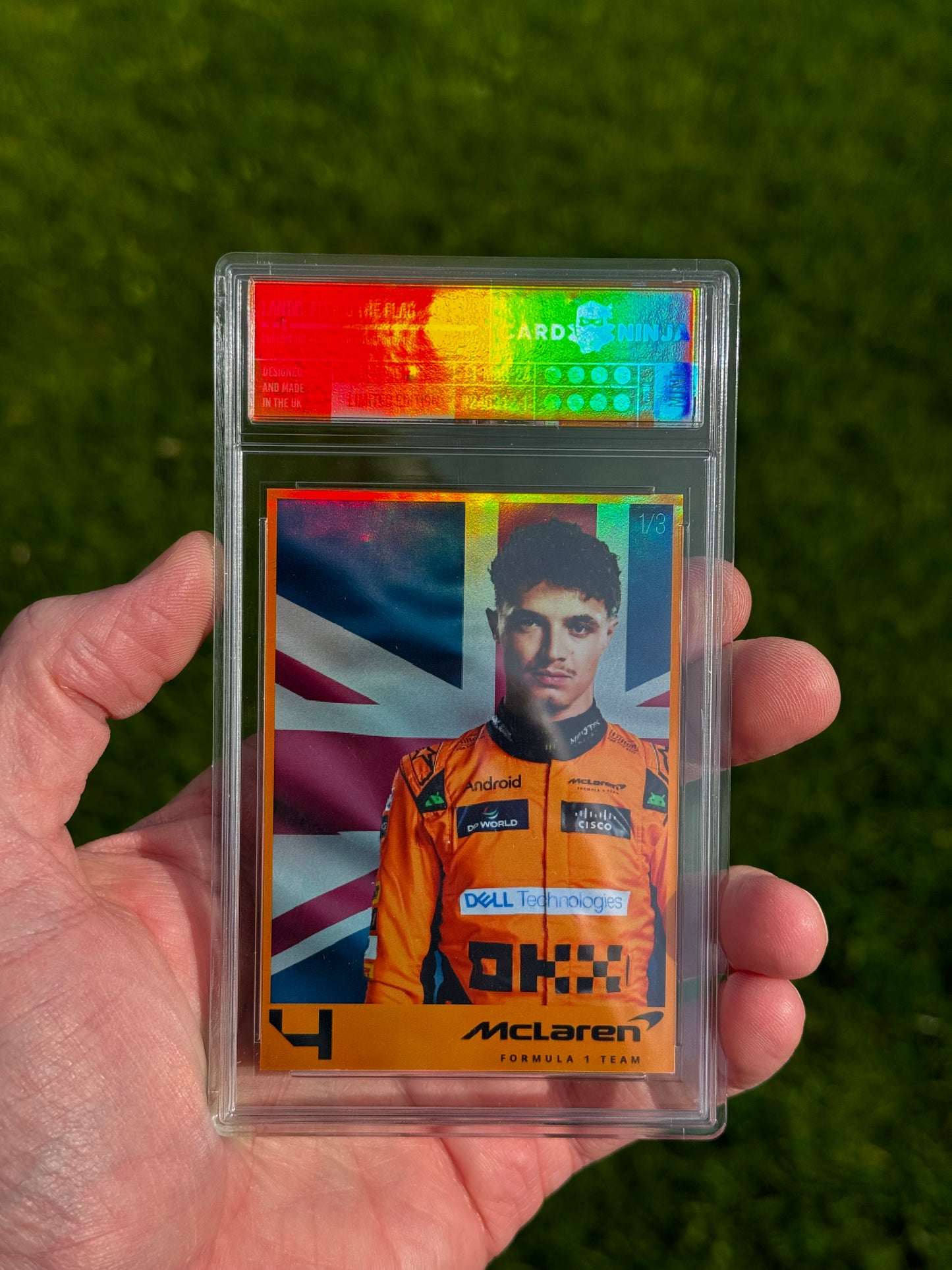 Lando Norris Portrait with flag /3