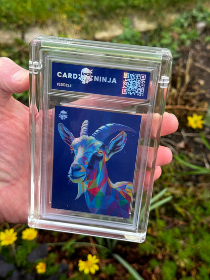 Lewis, the goat (Sapphire /2)